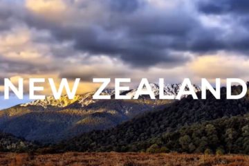 HOW NEW ZEALAND TOOK ADVANTAGE OF COVID-19 TO ACHIEVE A GOOD COUNTRY BRAND REPUTATION